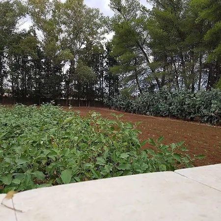 Tenuta Guarascio فندق مبيت وإفطار 3*