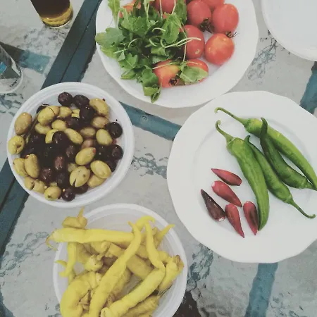Bed & Breakfast Tenuta Guarascio