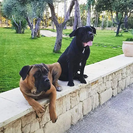 Tenuta Guarascio * Cavallino di Lecce