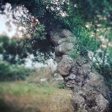 Tenuta Guarascio לינה וארוחת בוקר