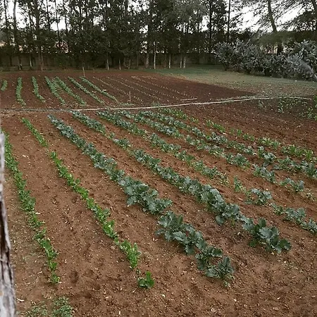 Tenuta Guarascio 3*